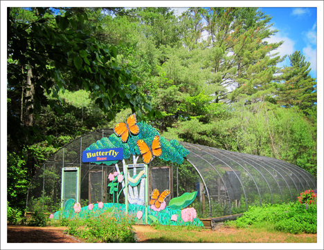 Paul Smiths VIC Native Species Butterfly House -- the only such facility in the Adirondacks and northern New York State